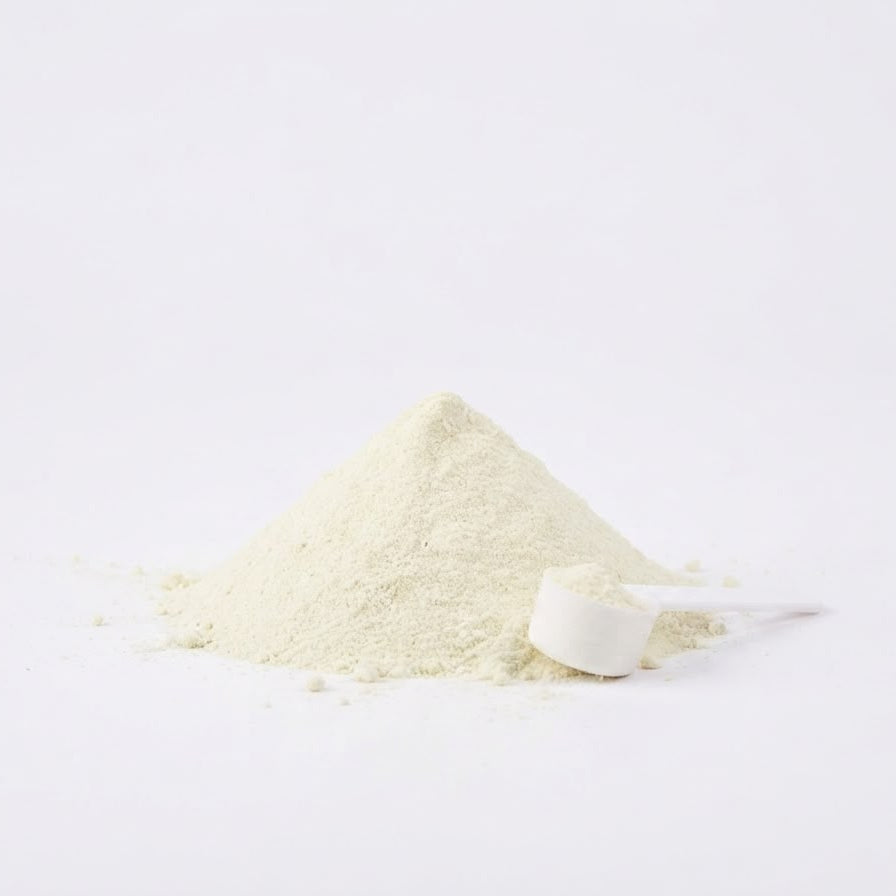 Bloom - Daily Probiotic Blend