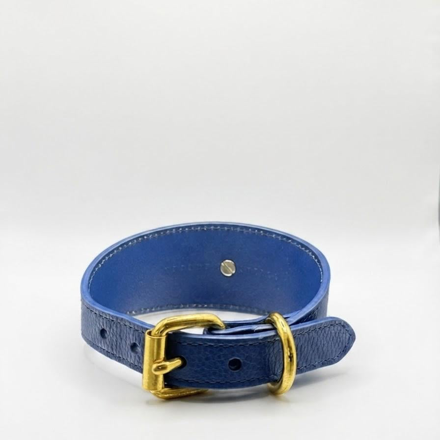Sapphire Daisy