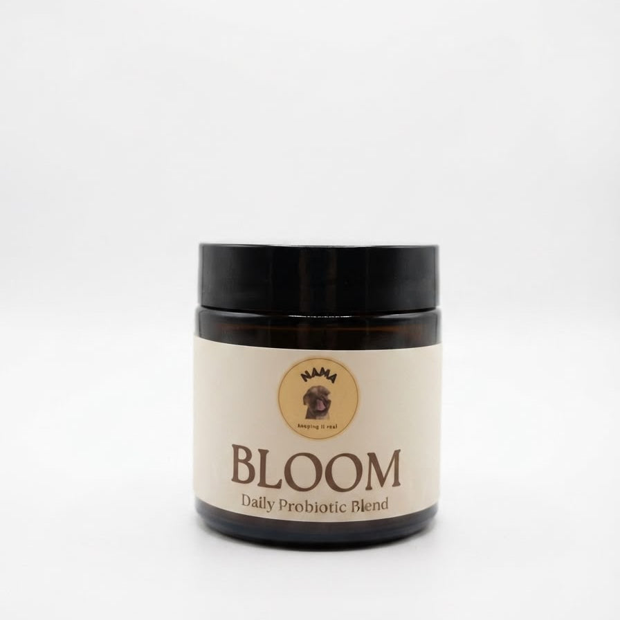Bloom - Daily Probiotic Blend