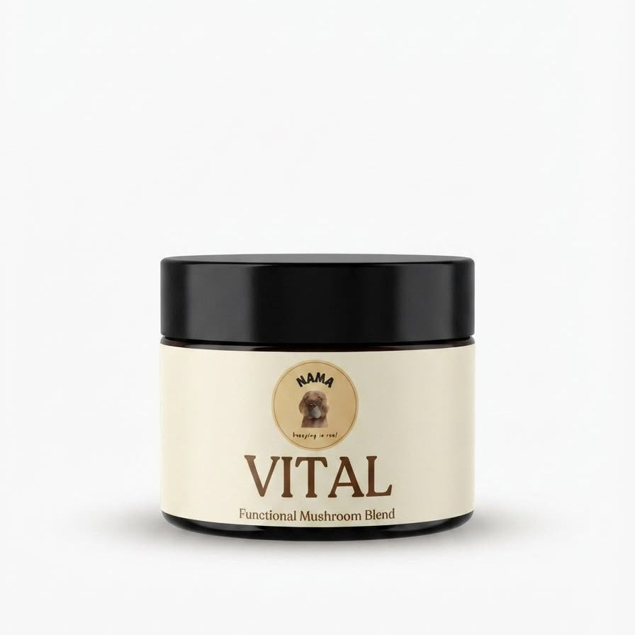 Vital - Mushroom Blend