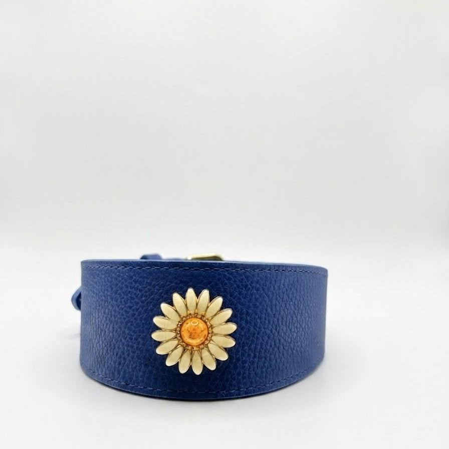 Sapphire Daisy