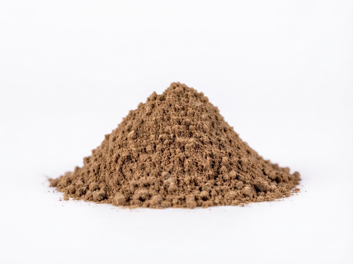 Vital - Mushroom Blend