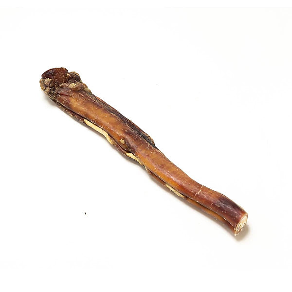 Bully Pizzle - 25 cm